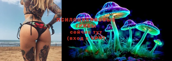 MDMA Няндома