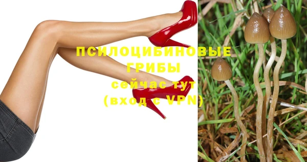MDMA Няндома