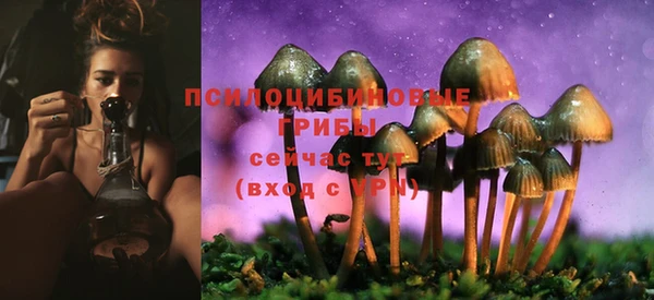 ALPHA PVP Новодвинск