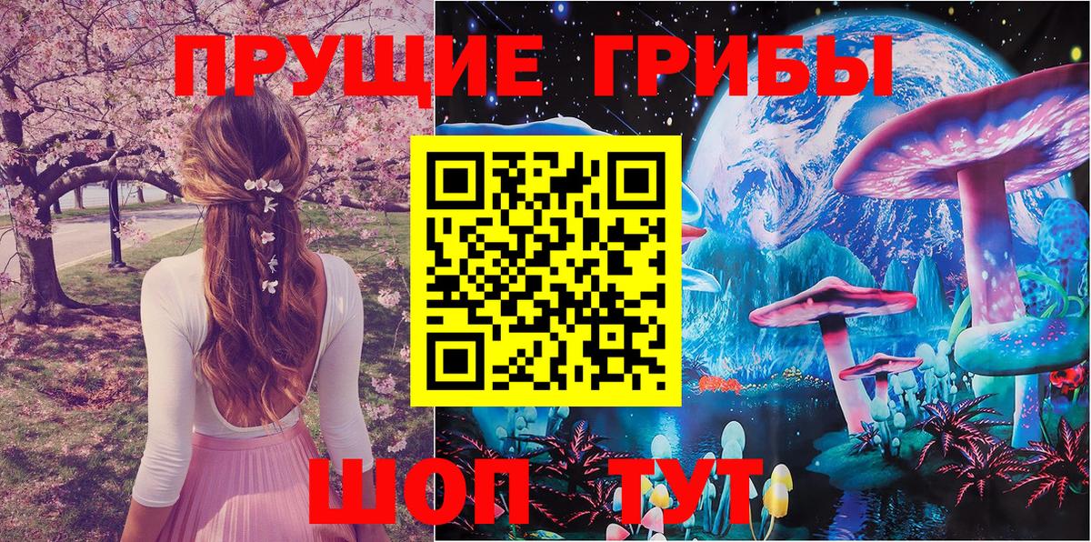 купить наркотик  Галлюциногенные грибы GOLDEN TEACHER  Вход с VPN  Псилоцибиновые грибы MAGIC MUSHROOMS  Котовск 